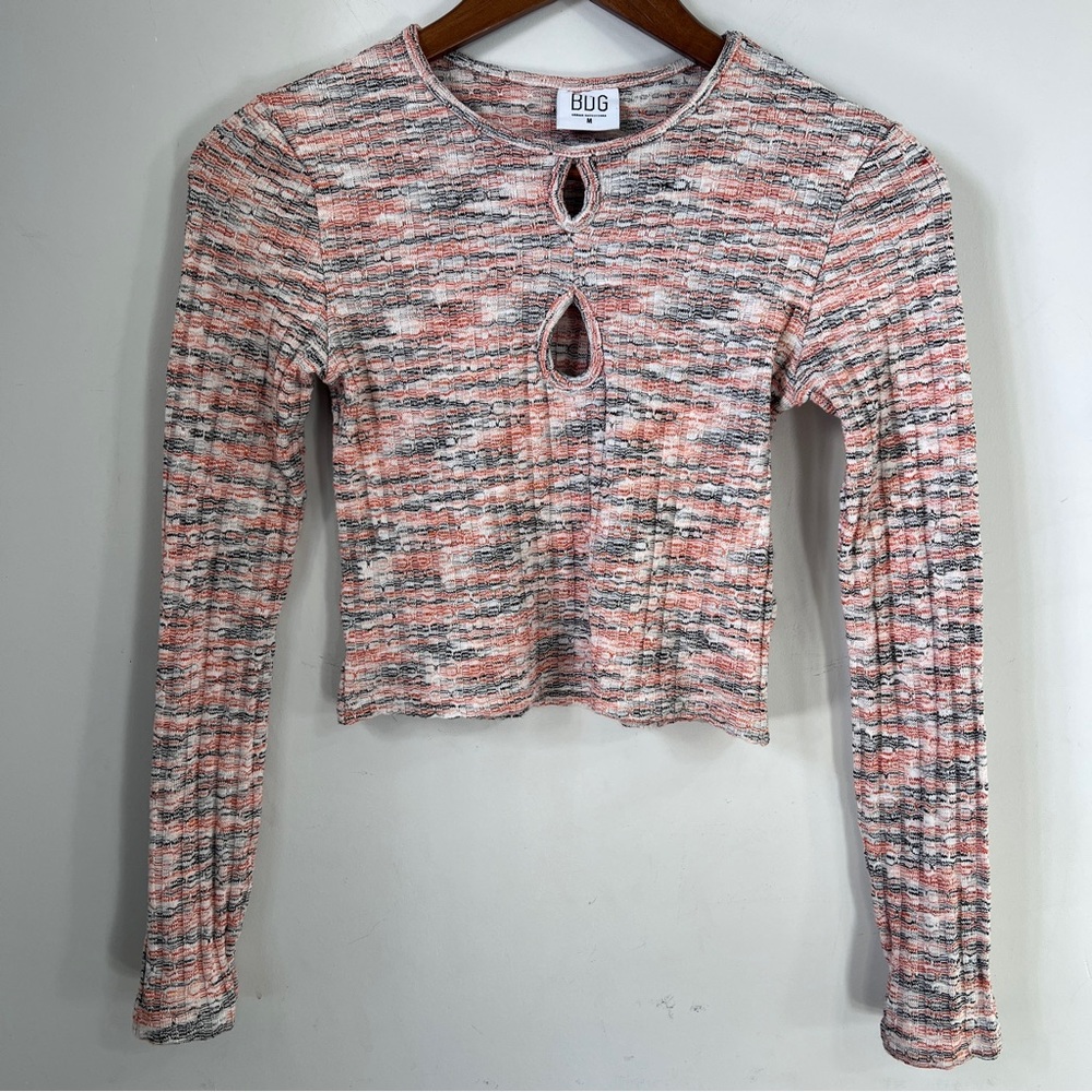 BDG Urban Outfitters Multicolor Long Sleeve Crop Top